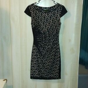 Catherine Malandrino Dress 6